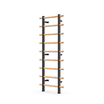 DHT Swedish Ladder, Wall Bars, Stall Bar Suspension Trainer with 9 Strategic Rods, for Fitness Home, Gym, School, Clinics and Gymnastics