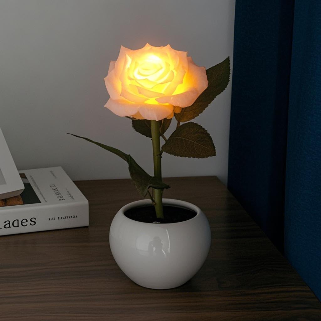 Naimo Flower Night Light Rechargeable LED Night Lamp Rose Table Lamp for Bedroom Living Room Birthday Party Desktop Home Decor