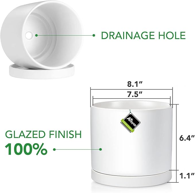 Aveyas 8 inch Ceramic Plant Pot with Drainage Hole and Saucer - Suitable for Indoor and Outdoor Use, Modern Planters for House Garden Flower Tree Snake Monstera Plants (8", Matte White)