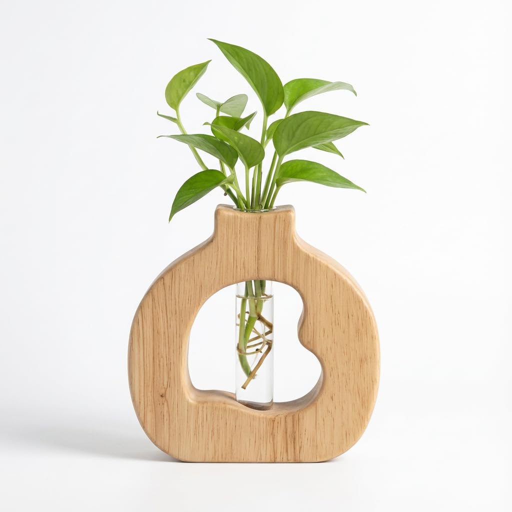 Plant Propagation Station Hanging Stand with Glass Vases for Plants Wall Hanging Wood Stand Indoor Levitating Plant Pot Air Holder Window Boxes for Decor Flowers Holder Test Tubes