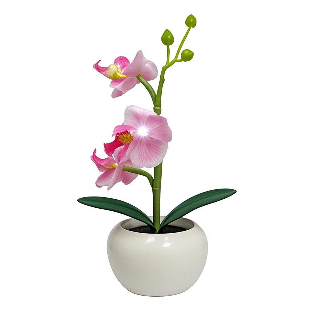 Naimo Phalaenopsis Night Light Rechargeable LED Night Lamp Flower Table Lamp for Bedroom Living Room Birthday Party Desktop Home Decor