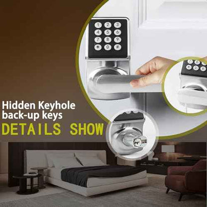 Keyless Entry Door Lock with Keypad,Keypad Door Lock with Handle,Smart Door Locks for Front Door with/Card/Passcode/Key,Digital Door Knob with Handle,Silver.