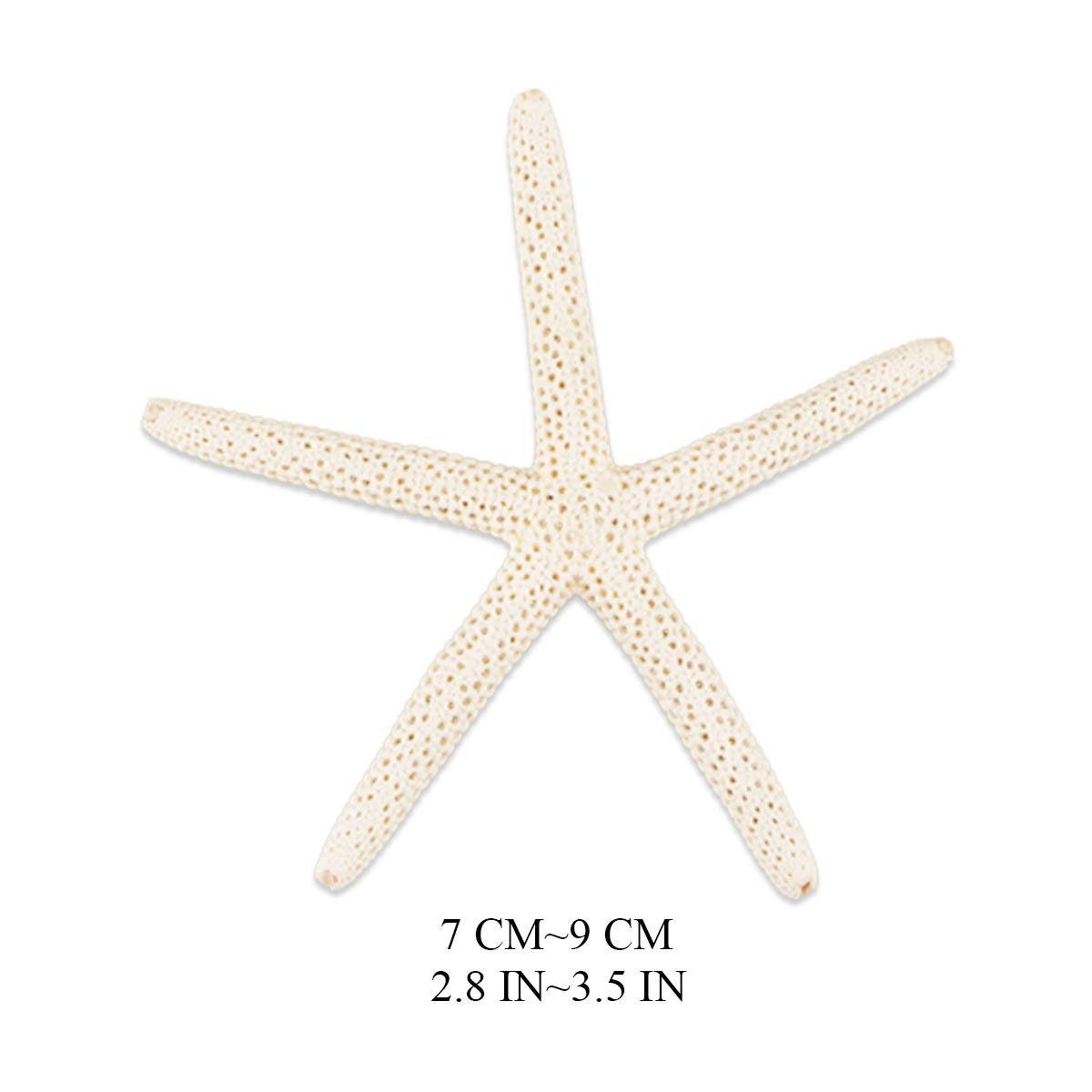 Jangostor 20 PCS Starfish, 2.5" to 4" Natural Seashells Starfish Star Fish Shells Decorations White Starfish Ornaments Perfect for Wedding Beach Theme Party Home Decorations, DIY Crafts, Fish Tank