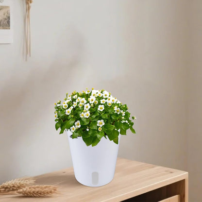 Doodlream 6 Kits Self Watering Pots for Indoor Plants, 4.93inch White Plastic Self Watering Planters for Herbs Succulents, Garden Decorative Flower Pots with Water Visual Window, Water-Absorbing Rope