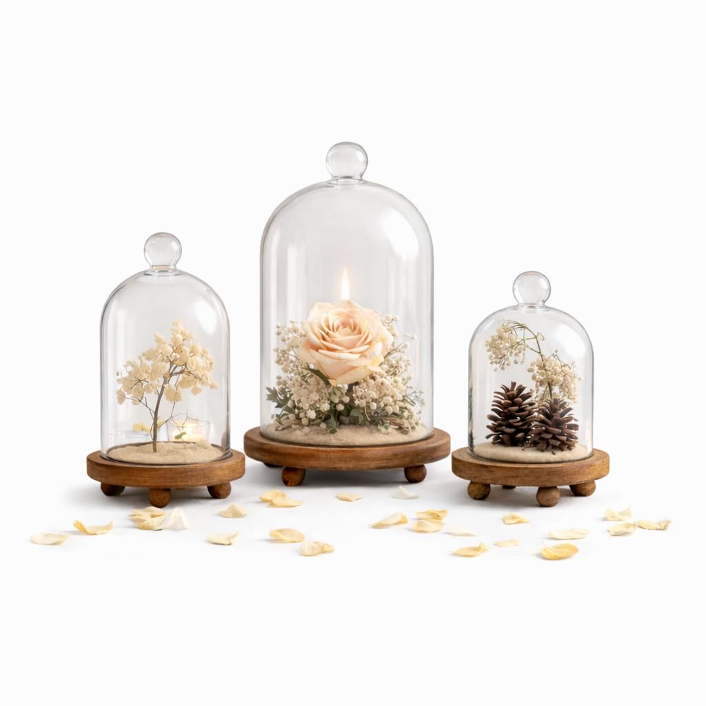 KMwares 3pcs Glass Bell Shape Dome Set (5.7"/4.9"/4.3") | Cloche Display with Wood Base | Empty Domes, Not Included Decorations
