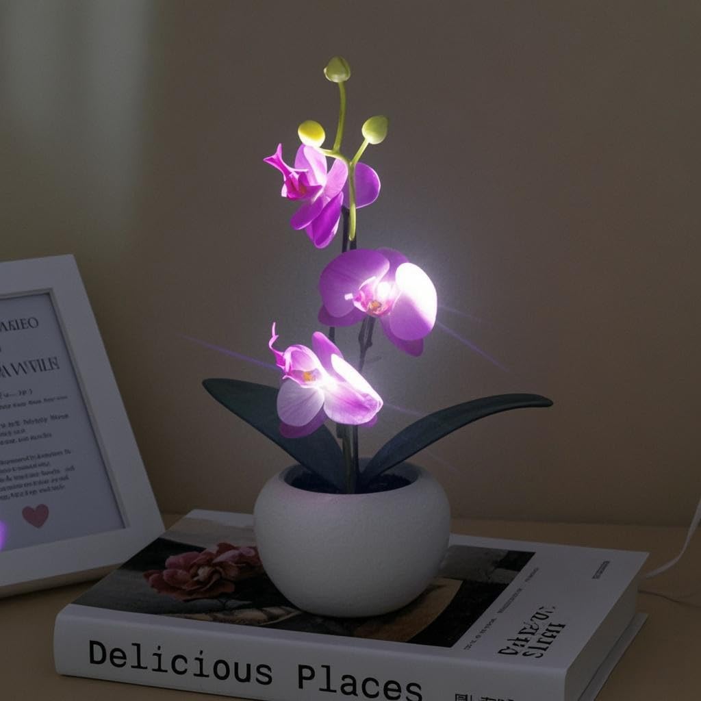Naimo Phalaenopsis Night Light Rechargeable LED Night Lamp Flower Table Lamp for Bedroom Living Room Birthday Party Desktop Home Decor