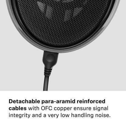 Sennheiser Consumer Audio HD 650 - Audiophile Hi-Res Open Back Dynamic Headphone, Titan