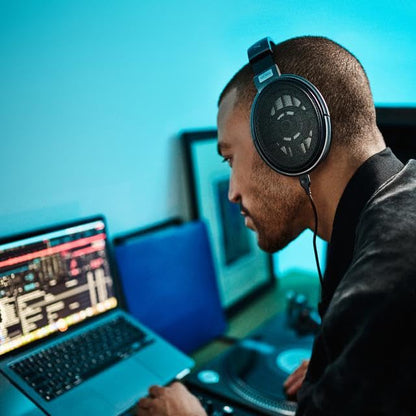Sennheiser Consumer Audio HD 650 - Audiophile Hi-Res Open Back Dynamic Headphone, Titan