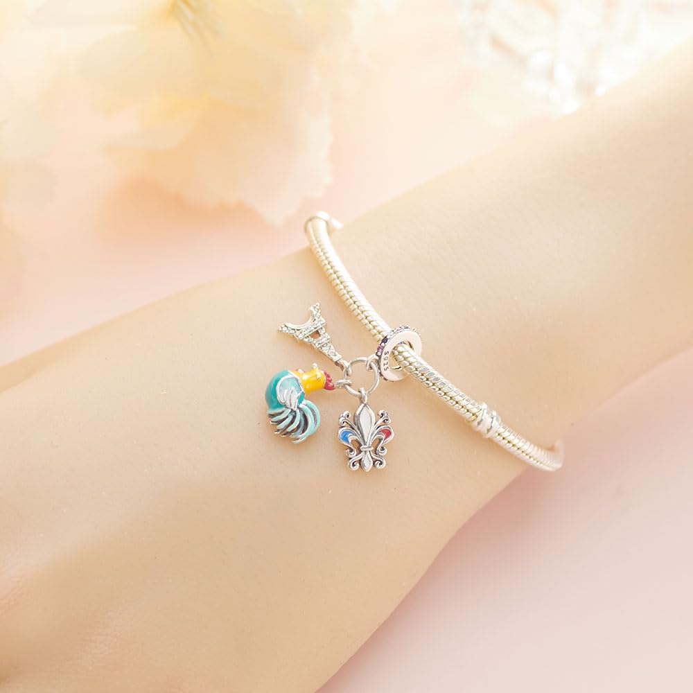 BOIGEGU 925 Silver Charms for Pandora Bracelets Le Coq gaulois/La Tour Eiffel Charm Necklace Charms Souvenirs Charm Jewellery Gifts for Women DIY Collectors