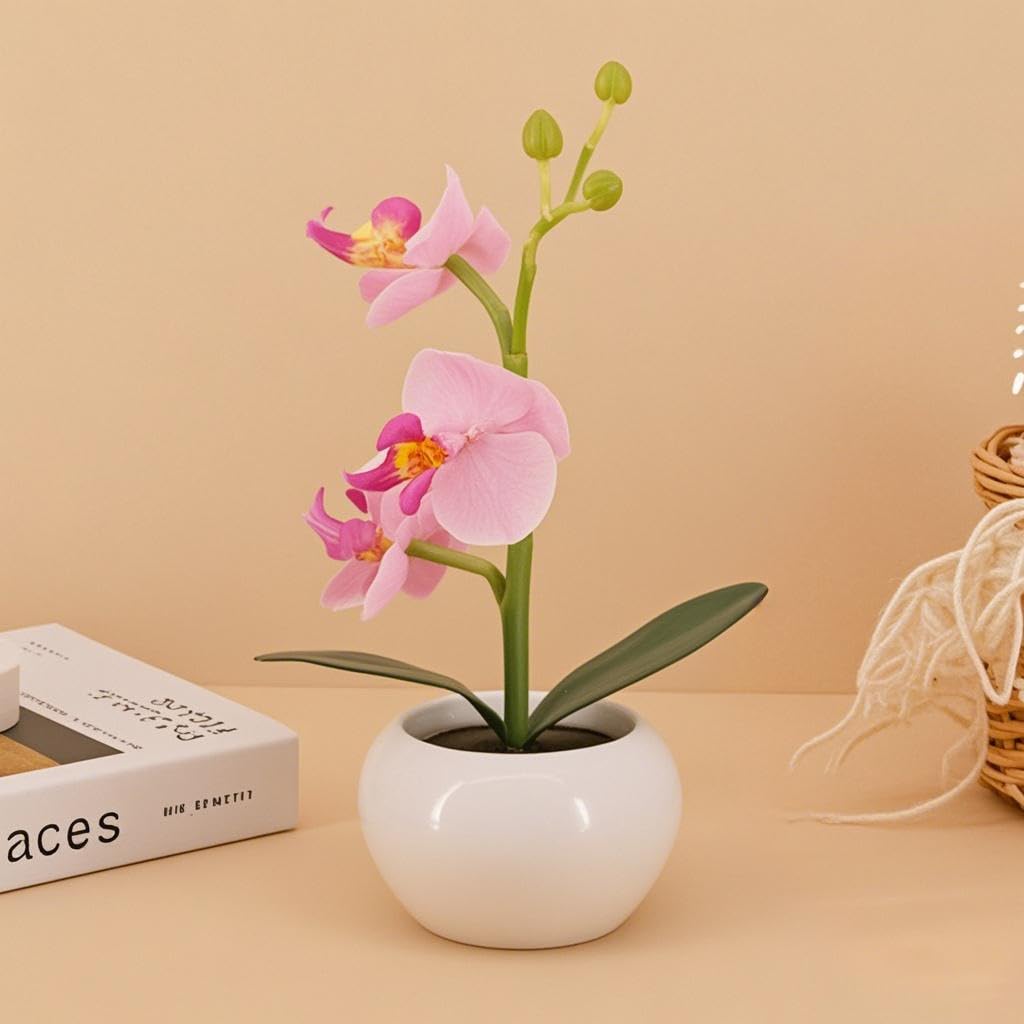 Naimo Phalaenopsis Night Light Rechargeable LED Night Lamp Flower Table Lamp for Bedroom Living Room Birthday Party Desktop Home Decor