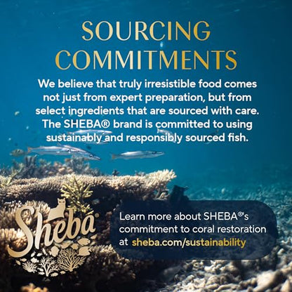 Sheba Perfect Portions Wet Cat Food Cuts in Gravy Variety Pack, with Sustainable Tuna and Roasted Chicken Entree, 2.6 oz. Twin-Pack Trays (6 Count, 12 Servings) (Pack of 2)