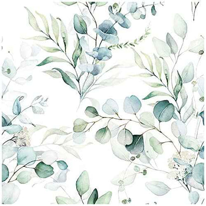 HAOKHOME Peel and Stick Wallpaper Boho Green/White Eucalyptus Leaf Floral Wall Mural Home Nursery Decor Renter Friendly Wallpaper 17.3in x 78.7in