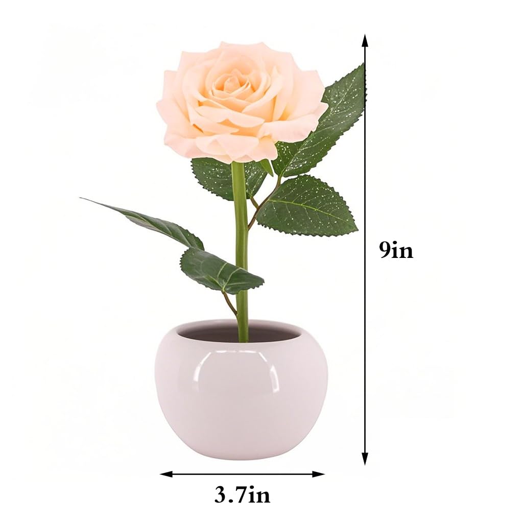 Naimo Flower Night Light Rechargeable LED Night Lamp Rose Table Lamp for Bedroom Living Room Birthday Party Desktop Home Decor