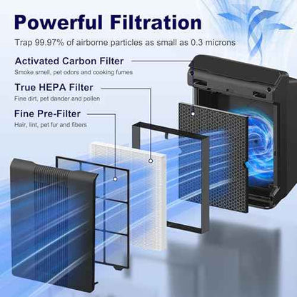 116130 Replacement Filter H for Winix 5500-2 AM80 Plasmawave Air Purifier, True HEPA Filter and Activated Carbon Filter Combo Pack, 3 Set