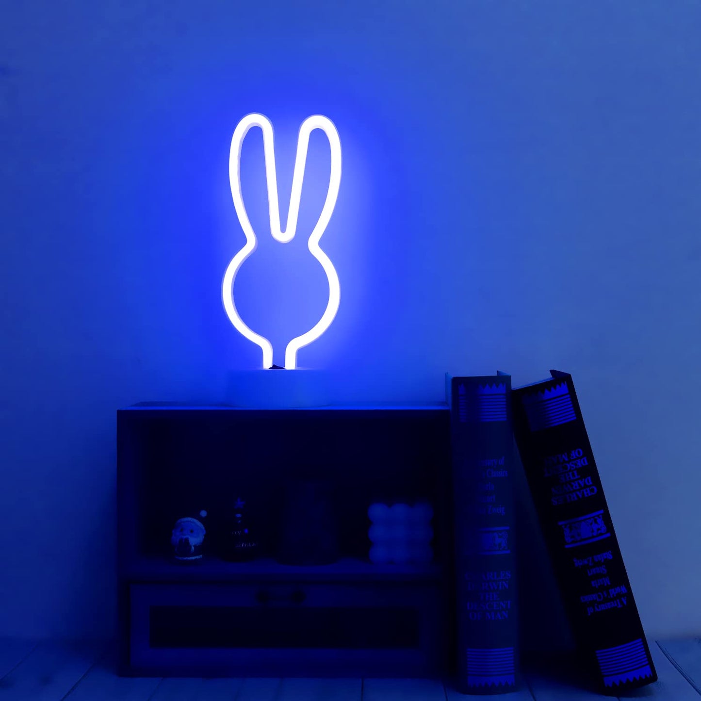 Easter Decorations Bunny Lights Neon Signs, Creative Bunny Neon Lights with Base Battery/USB Operated Rabbit Stuff for Home, Nursery Room, Baby Teen Kids Girls Bedroom, Spring Decor (Blue)