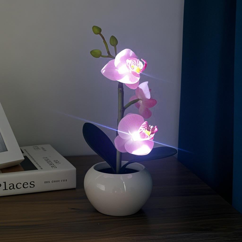 Naimo Phalaenopsis Night Light Rechargeable LED Night Lamp Flower Table Lamp for Bedroom Living Room Birthday Party Desktop Home Decor