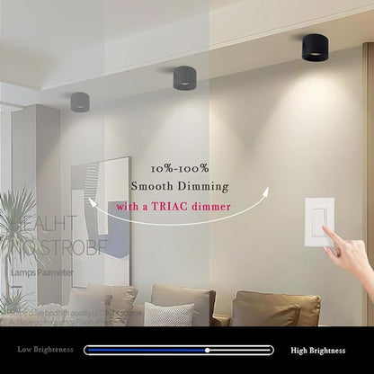 LED Dimmable Ceiling Spot Light Aluminum Matte Black 4.72'' Cylinder Spotlight Indoor Modern Minimalist Focus Ceiling Down Light Fixture for Living Room Hallway Foyer CRI 98 12W 3000K