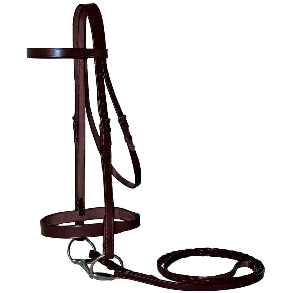 Paris Tack English Hunt Bridle & Laced Reins, Havana, Horse