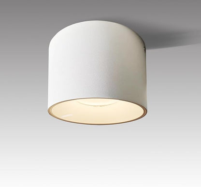 LED Dimmable Ceiling Spotlight Aluminum White 4.72" Cylinder Spot Light Indoor Modern Minimalist Focus Accent Down Light for Cylinder Hallway Kitchen Foyer CRI 98 12W 3000K