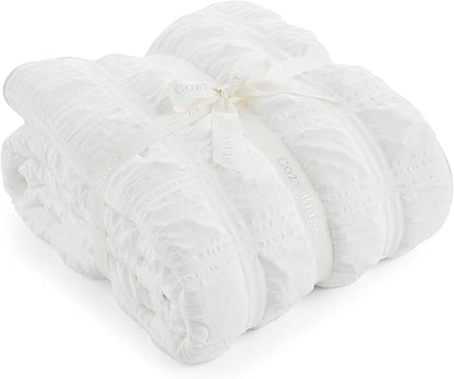 Cozy Bliss Cooling Comforter Queen Size Seersucker Plaid, Q-Max 0.4 Reversible Lightweight Cooling Blanket, Breathable Silk Smooth Summer Bedding Quilt for Hot Sleepers Night Sweats White
