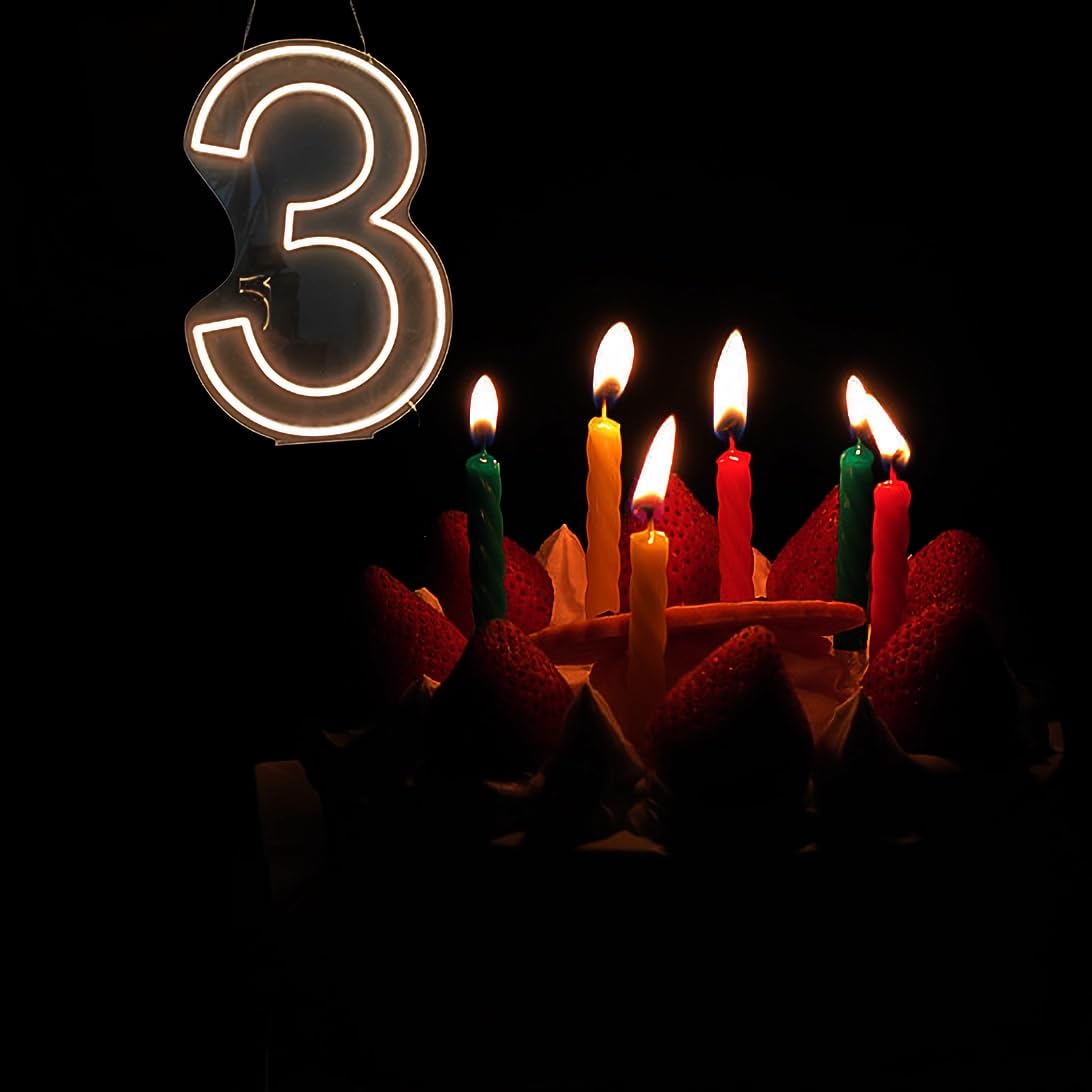 Neon Signs Number 3 Birthdays Decor Neon Lights Party USB Plus Battery Case Light up your baby's birthday with our Neon Number Three Sign (Number 3-Warm White)