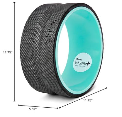 Chirp Wheel Foam Roller – Targeted Back & Neck Relief, Lumbar Spine Stretcher, Spinal Decompression Back Stretcher, Massage Roller with Density Foam for Physical Therapy, Supports 500lbs, 2-Inch Mint