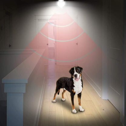 AmeriTop Motion Sensor Light Bulb- 2 Pack, 10W(60W Equivalent) 806lm Motion Activated Dusk to Dawn Security LED Bulb; UL Listed, A19, E26, Auto On/Off Indoor Outdoor Lighting (5000K Daylight)