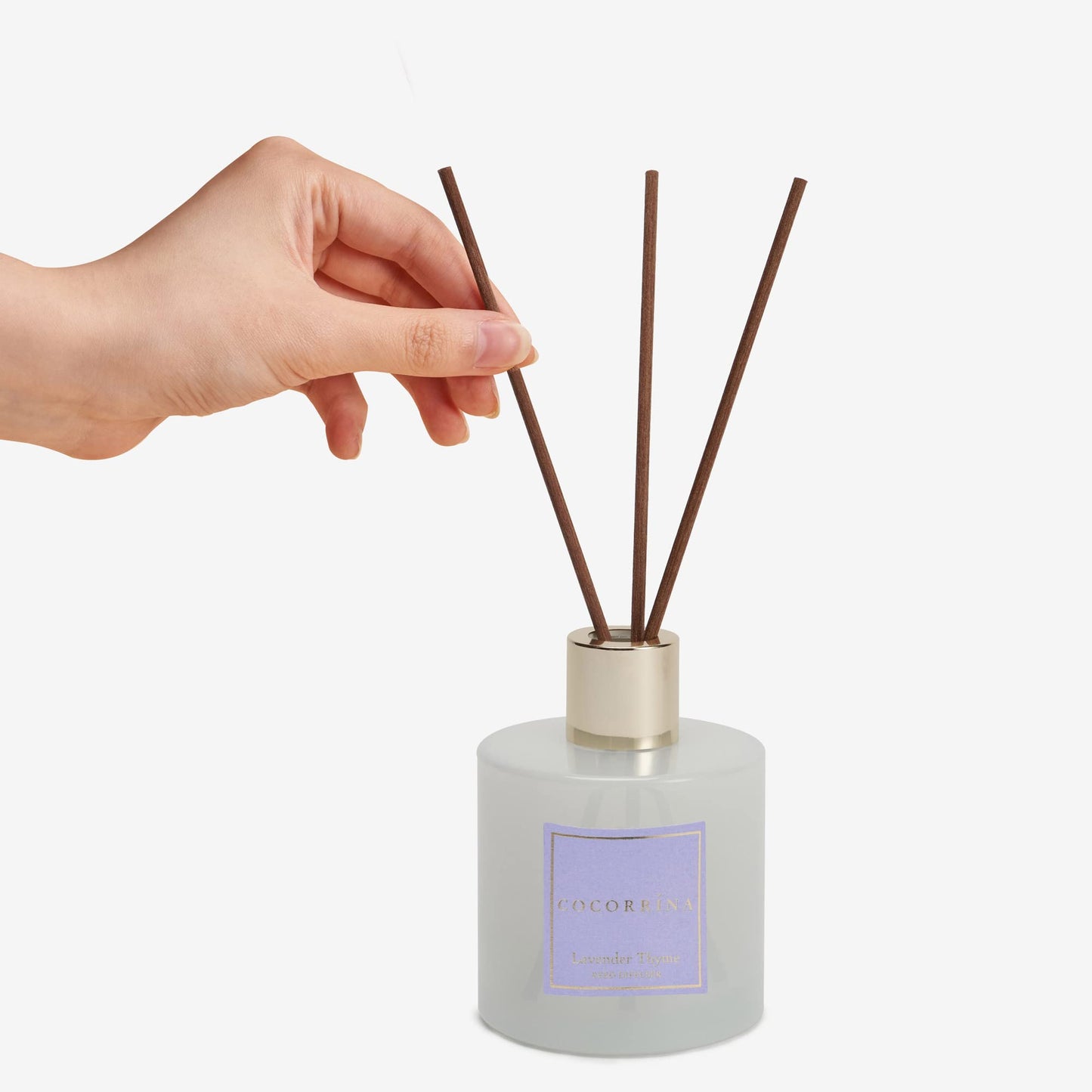 Cocorrína Premium Reed Diffuser Set with Preserved Baby's Breath & Cotton Stick Lavender Thyme | 6.76 Fl.oz Scent Diffuser for Bedroom Bathroom Home Décor