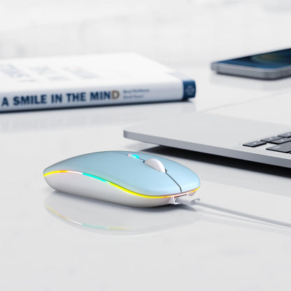 Wireless Bluetooth Mouse, Rechargeable, LED, Silent, Ultra-thin Design (Bluetooth 5.2 and 2.4GHz USB Receiver) | Portable Computer Mouse for Laptops, iPads, MacBooks and Apple Devices (Black)