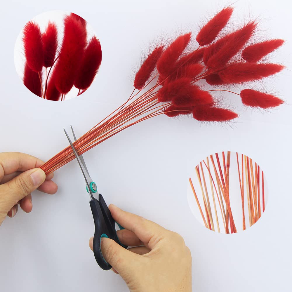 JOJAZE 60pcs Dried Bunny Tails Flowers Red Pampas Grass Natural Dried Floral Arrangement Dry Flowers for Christmas Halloween Boho Decor Home Wedding DIY Craft Decoration (16")…