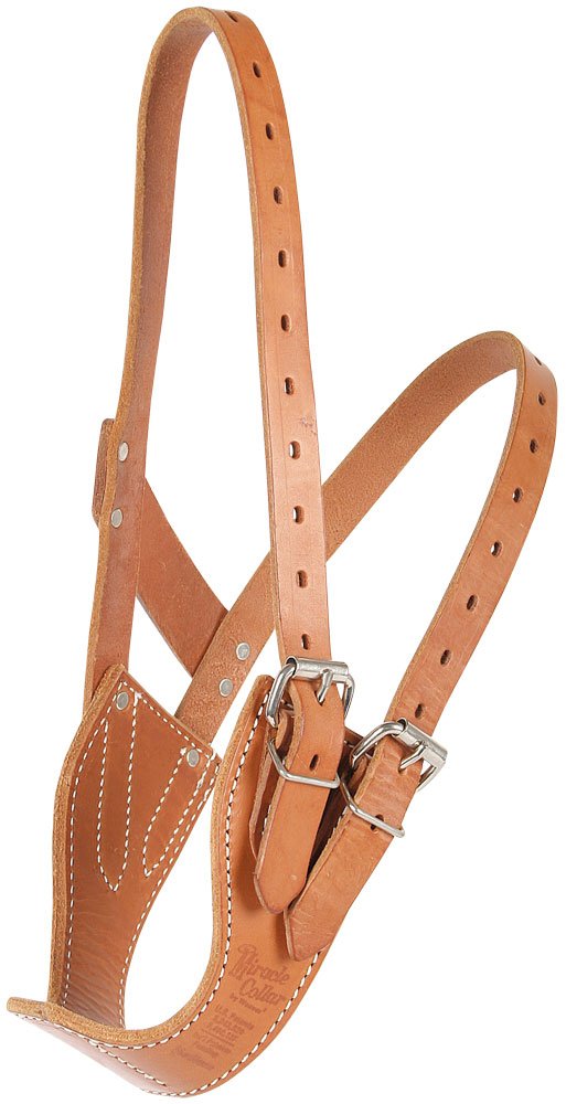 Weaver Equine Miracle Leather Horse Cribbing Collar, Durable Secure Fit Horse Collar, Equestrian Gear for All Ages and Breeds, Small, Golden Brown