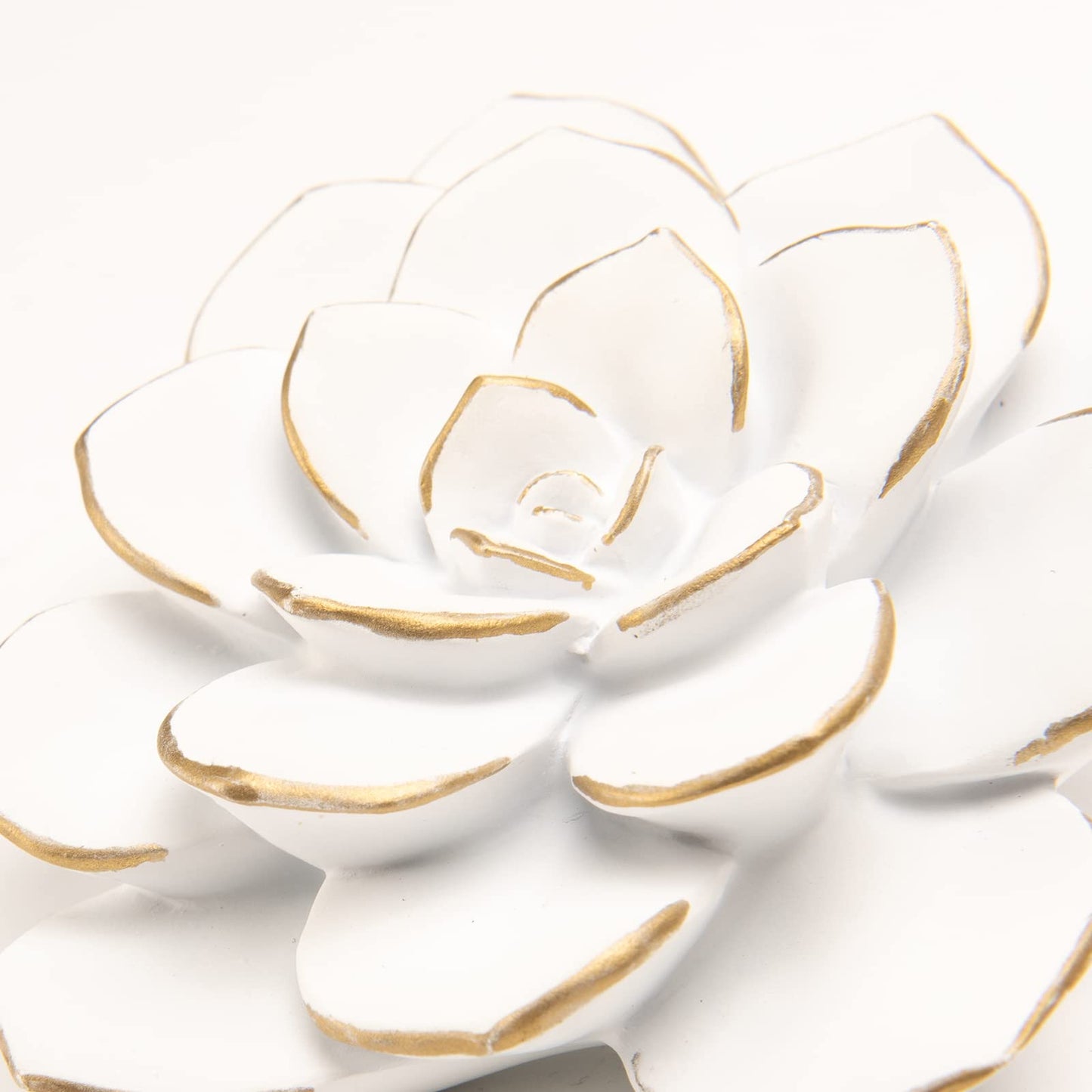Guichifun Flower Wall Decor 3D Resin Succulent plants - Wall Hanging Decor Art Decor for Home Bedroom Living Room White Christmas Gift 3.25 X 4 X 1.25 Inch