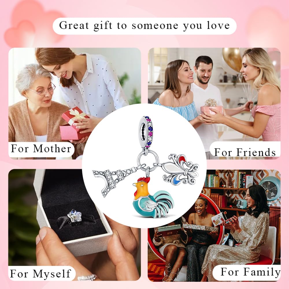 BOIGEGU 925 Silver Charms for Pandora Bracelets Le Coq gaulois/La Tour Eiffel Charm Necklace Charms Souvenirs Charm Jewellery Gifts for Women DIY Collectors