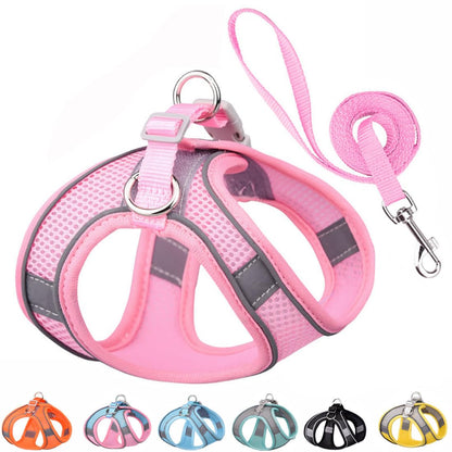 Puppy Harness and Leash Set, No-Pull Small Dog Vest with Lead, Breathable Mesh Reflective Pet Harnesses for Outdoor Walking for XXS Xs Small Medium Breed Dogs or Cats, Pink XXSmall
