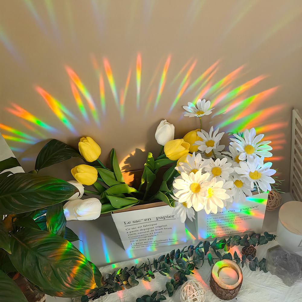 8 Inch Sun Catchers Indoor Window, Acrylic Rainbow Suncatcher Window Hanging Decoration for Living Room Bedroom Summer Home Balcony Ornaments Decoration (76 Bird)