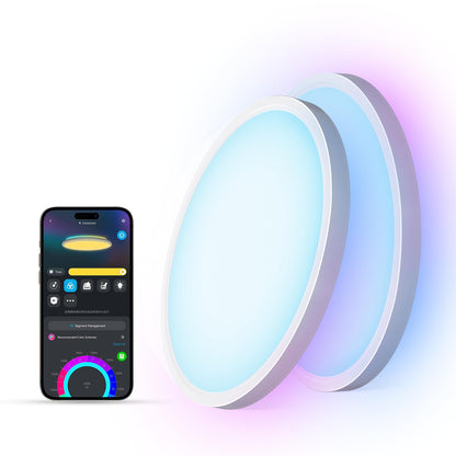 Govee Smart Ceiling Light, RGBIC LED Ceiling Light Fixture, 2400LM Flush Mount Light Fixture, DIY Colors, Works with Alexa, 2200K-6500K Ceiling Lights for Bedroom, Living Room, 12 Inch, 1 Pack