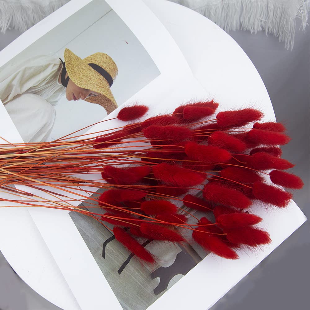 JOJAZE 60pcs Dried Bunny Tails Flowers Red Pampas Grass Natural Dried Floral Arrangement Dry Flowers for Christmas Halloween Boho Decor Home Wedding DIY Craft Decoration (16")…