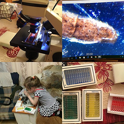Jiusion 60Pcs Prepared Microscope Slides Specimen Animals Insects Plants Flowers Sample Biological Specimen, Stereo Microscope Slide for Kids Children Students Enlighten Education