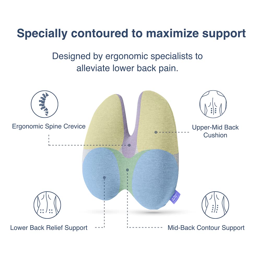 C CUSHION LAB Extra Dense Lumbar Pillow - Patented Ergonomic Multi-Region Firm Back Support for Lower Back Pain Relief - Lumbar Support Cushion with Strap for Office Chair, Car, Sofa, Plane - Black