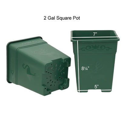2 Gallon Square Nursery Pot Plastic Planters for Outdoor Indoor Plants 10-Pack with Drainage Holes Green