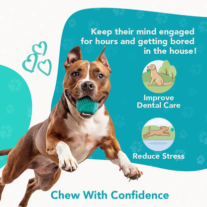 ReThink Pet Treat Dispenser Ball Toy, Beef Flavored Interactive Dispensing, Floatable Dog Toys with Treats