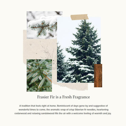 Thymes Frasier Fir Reed Diffuser Set – Includes Reeds, Fragrance Oil, and Frosted Glass Bottle – Fragrance Oil Diffuser – Room Fresheners – Luxury Home Decor – Green & Clear (Pine Needle, 4 fl oz)