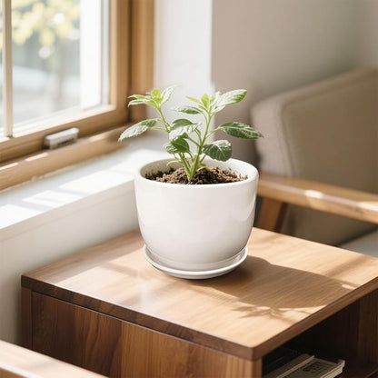 6.7 + 5.5 Inch Plant Pot, Ceramic Planter with Drainage and Saucer, Ceramic Pots for Plants, Indoor Plant pots,Succulent Pot Orchid Pots(Smooth White,Plant Pot Only)