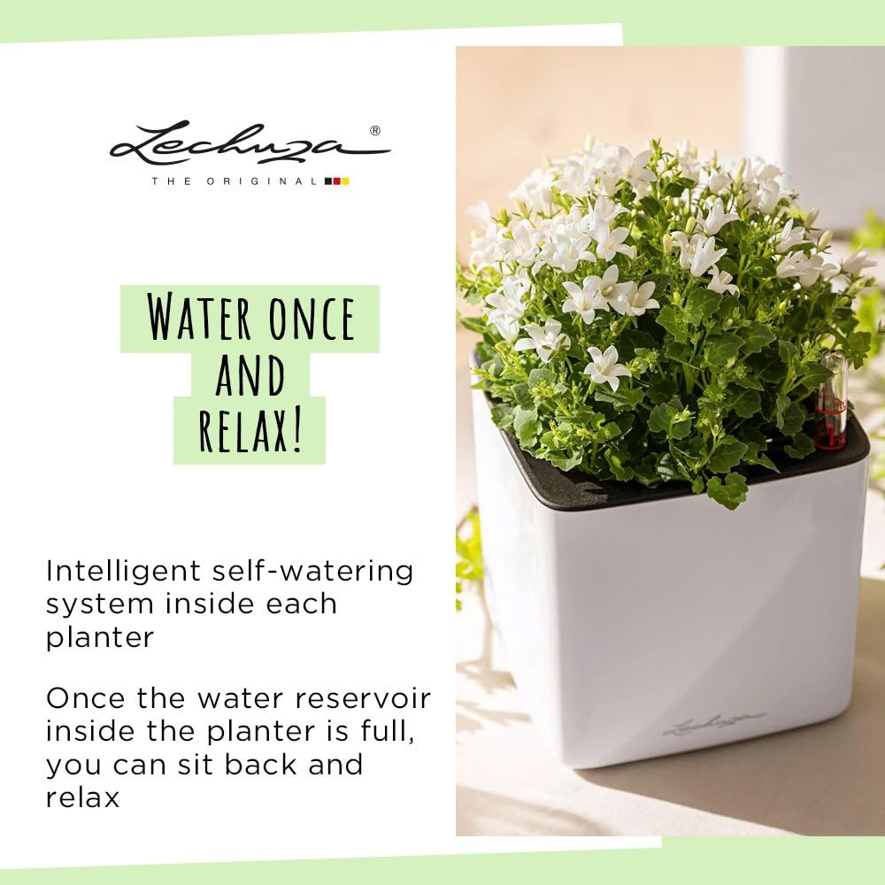Lechuza Glossy Cube 16 Self-Watering Planter with Water Level Indicator, High Gloss Scarlet Red