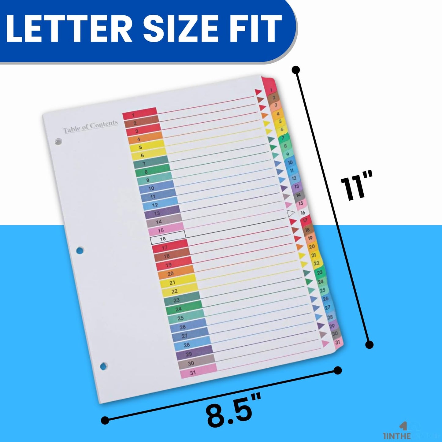 1InTheOffice 1-31 Tab Dividers for 3 Ring Binders, 31 Tab Daily Divider Sets, Table of Contents Divider Tabs, Multi-Color, 11 x 8.5, 2 Pack
