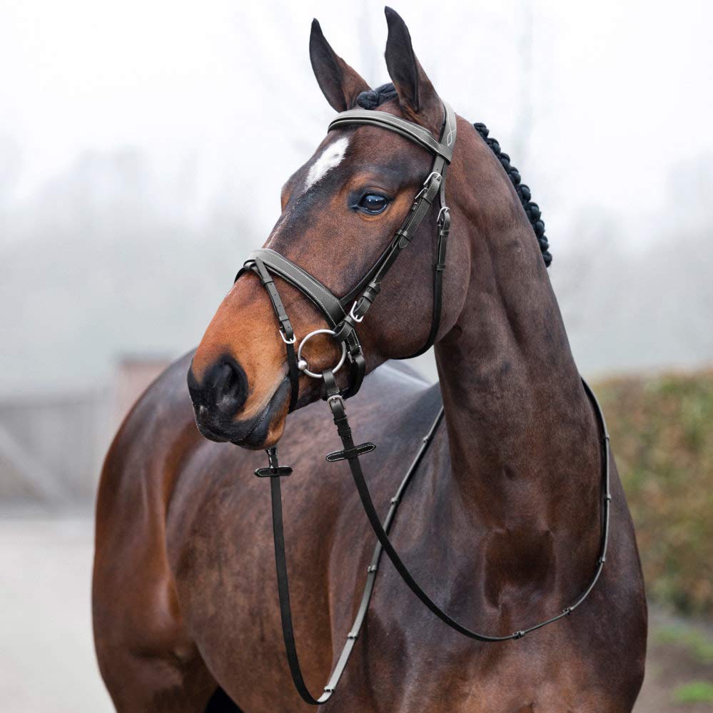 Horze Venice Padded Synthetic Leather Snaffle Bridle with Flash and Reins - Black - Horse