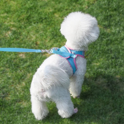 Puppy Harness and Leash Set, No-Pull Small Dog Vest with Lead, Breathable Mesh Reflective Pet Harnesses for Outdoor Walking for XXS Xs Small Medium Breed Dogs or Cats, Pink XXSmall