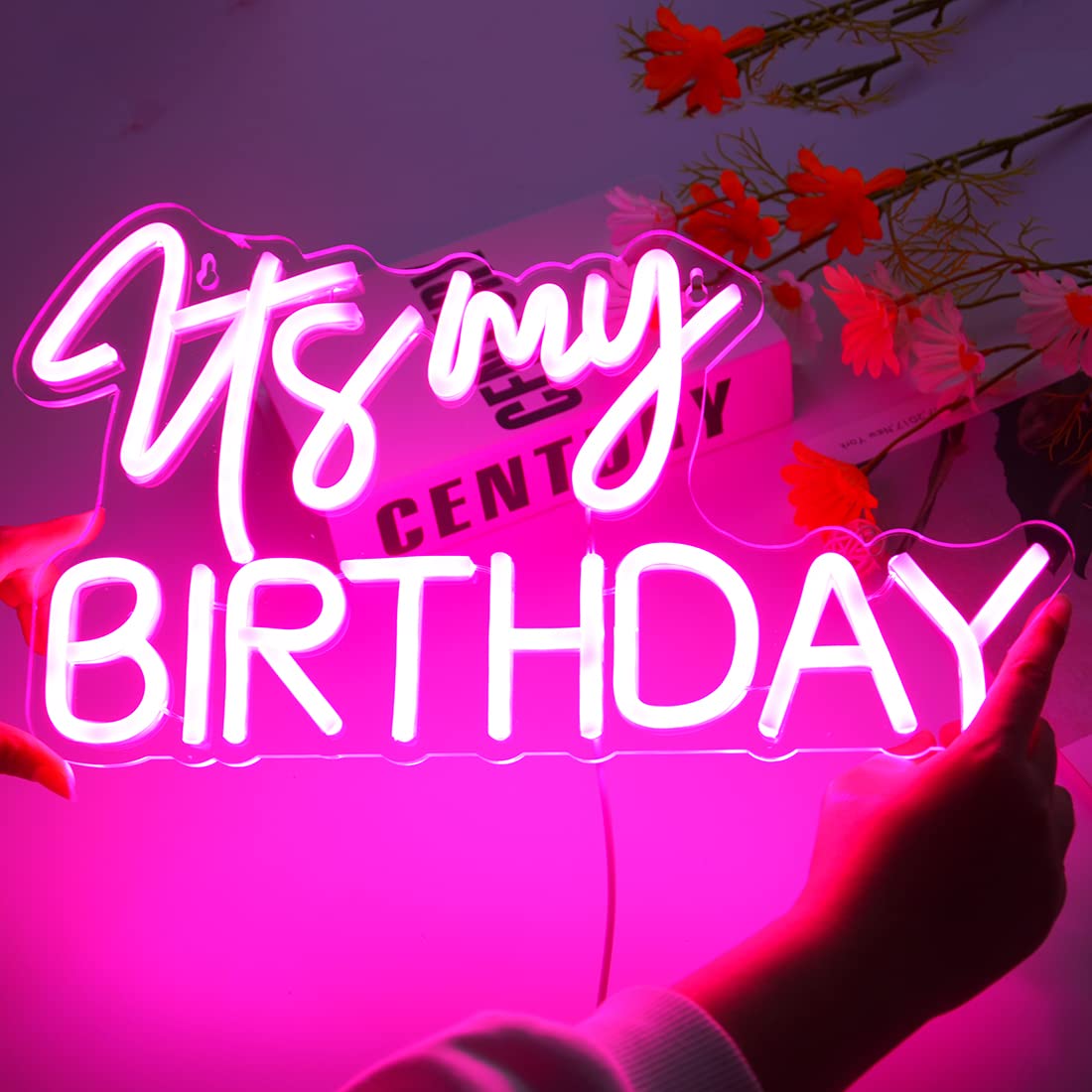 Planzo It's My Birthday Led Neon Light Sign Happy Birthday Party Wall Sign Decor Window Background Sign USB Bedroom Living Room Neon 5V Night Light Kids 15.8" X 9.1" Pink