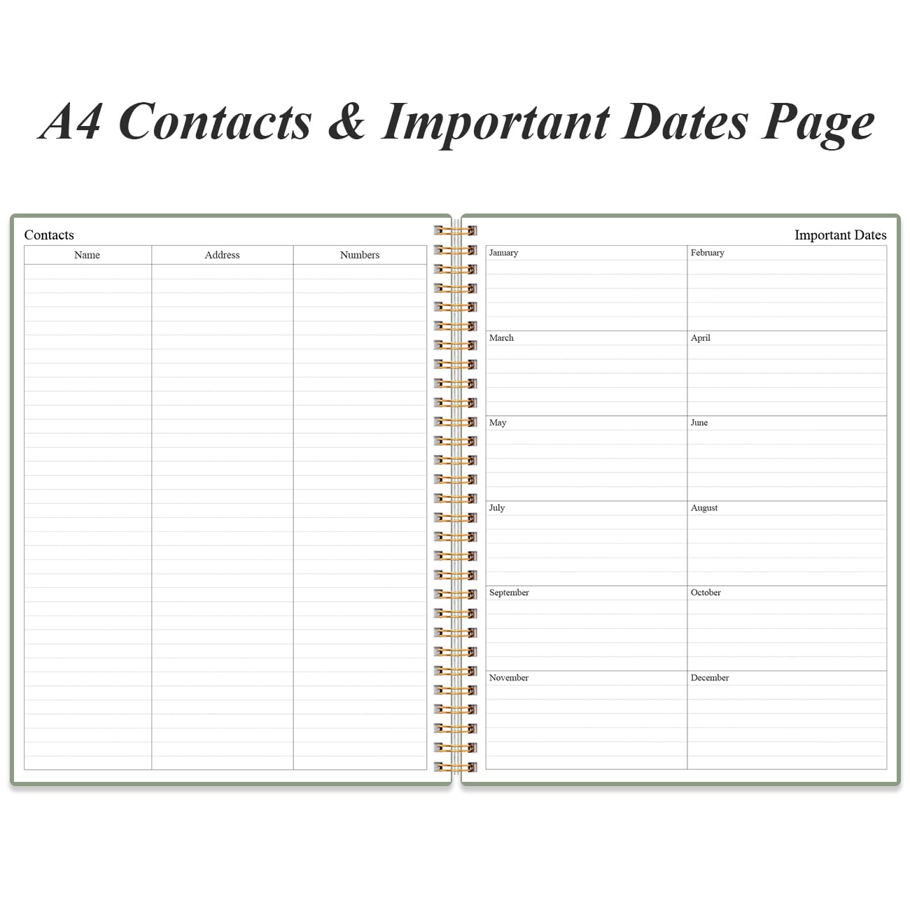 Daily Planner Undated - A4 To Do List Notebook Hourly Schedules, Spiral Appointment Planner for Women and Men,PVC Hardcover, Inner Pocket, Elastic Closure, 8.5" x 11", Green
