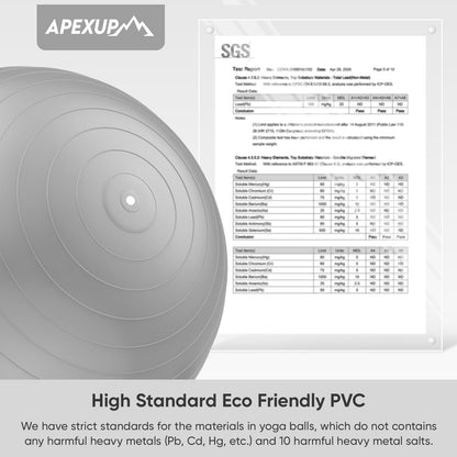 APEXUP Yoga Ball, 660 lbs Anti-Burst Exercise Ball with Pump, 5 Sizes (S (15"~18") 45cm, Silver)